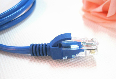 深圳福田誉佰经营部特价批发 一米成品网线（机器制作）的专业采购指南