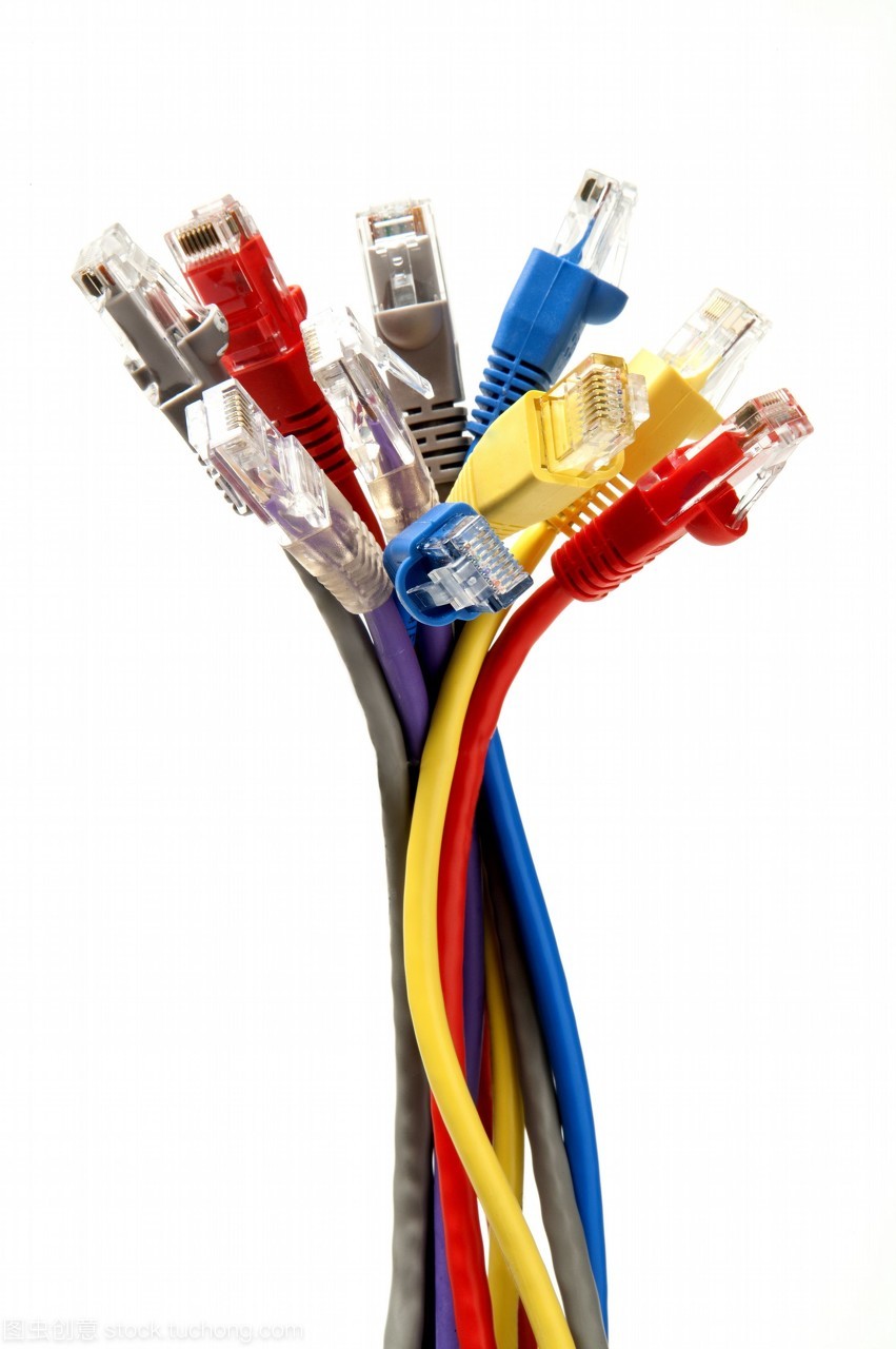 数字脉动 电子静物中的网络诗学